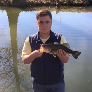 Meet your Posher, Samuel